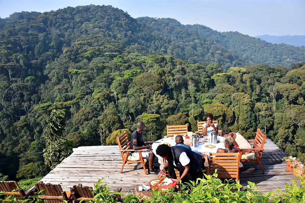 5c339cae-6690-4b7e-8d02-86642118d8e2